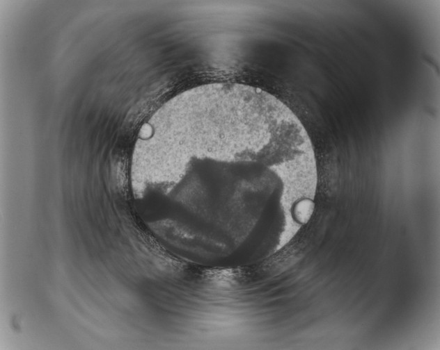 X0000103950131200810311559