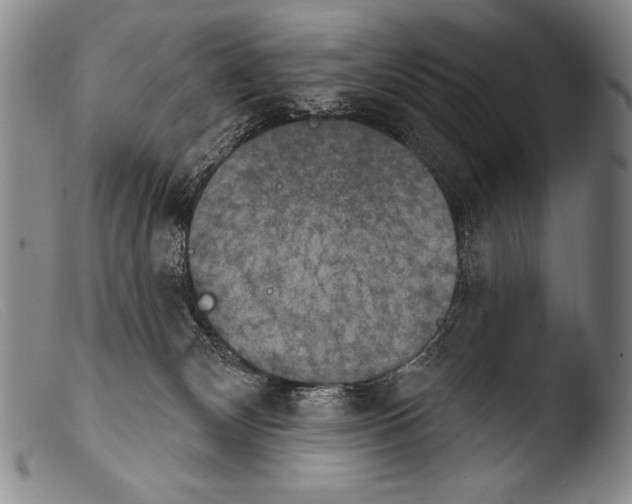 X0000103950132200810311559