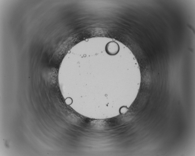 X0000103950133200810311559