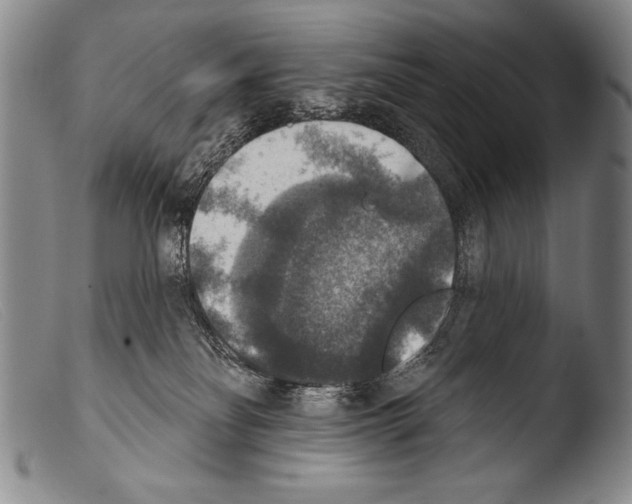 X0000103950134200810311559