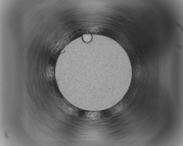 X0000103950135200810311559