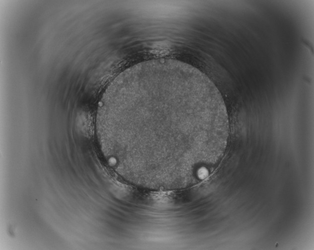 X0000103950136200810311558