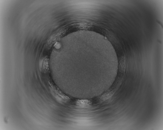X0000103950137200810311558