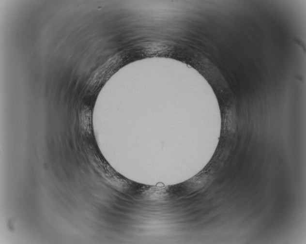 X0000103950138200810311558