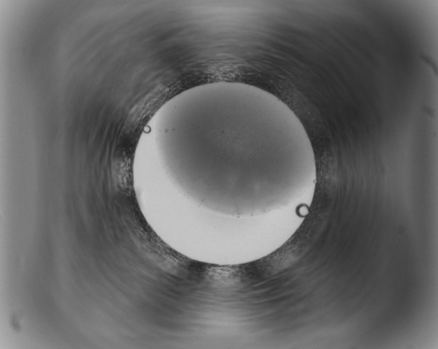 X0000103950139200810311558