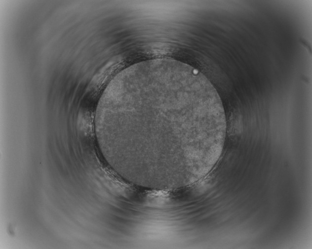 X0000103950140200810311558