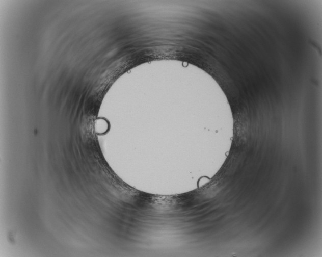 X0000103950141200810311558