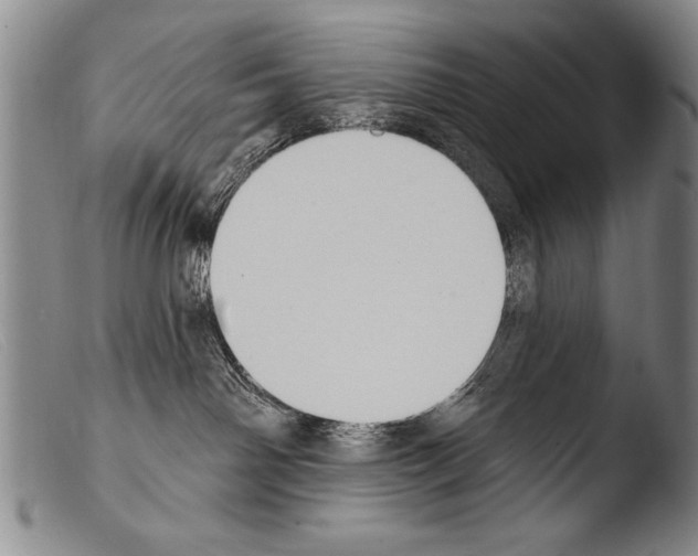 X0000103950142200810311558