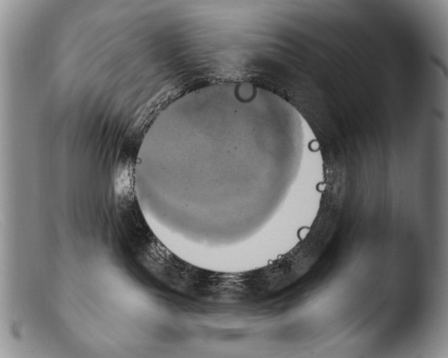 X0000103950143200810311558