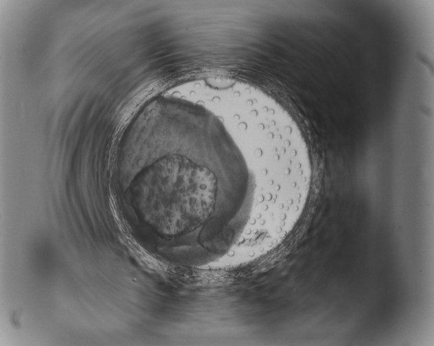 X0000103950145200810311558