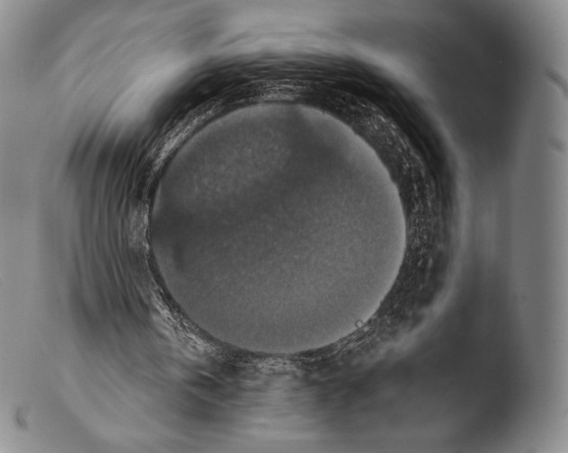 X0000103950146200810311558