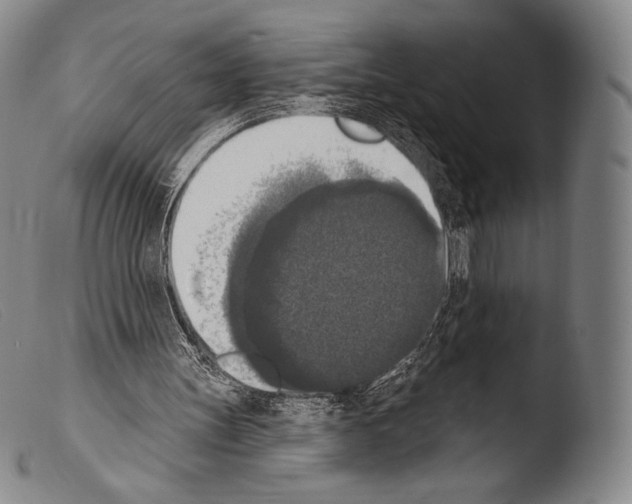 X0000103950147200810311558