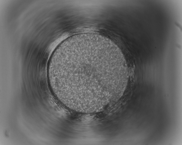 X0000103950148200810311558