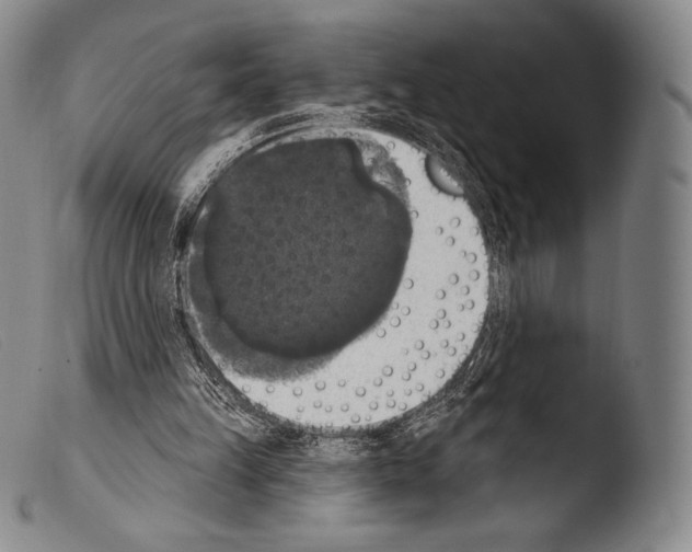 X0000103950149200810311558