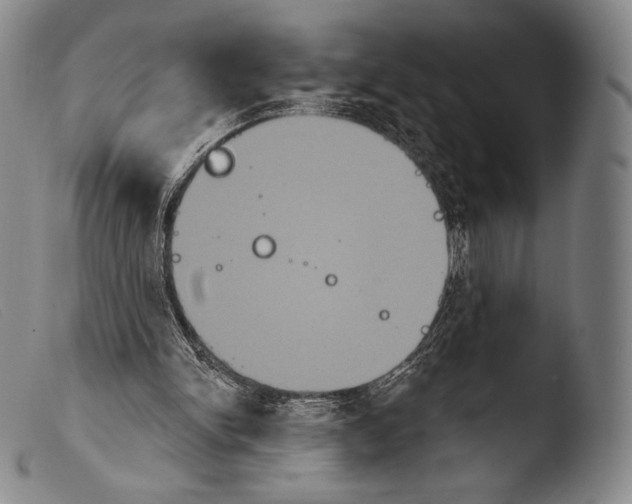 X0000103950150200810311558