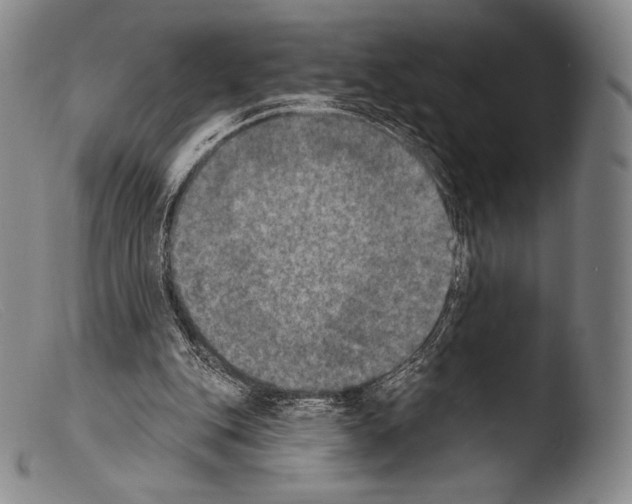 X0000103950151200810311558