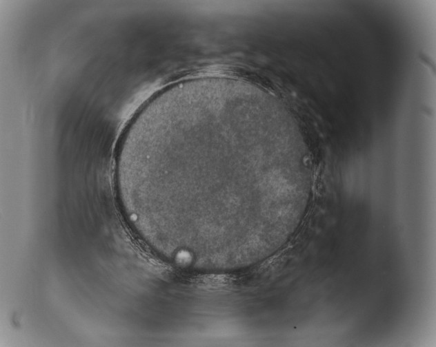 X0000103950152200810311558