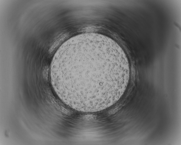 X0000103950153200810311558