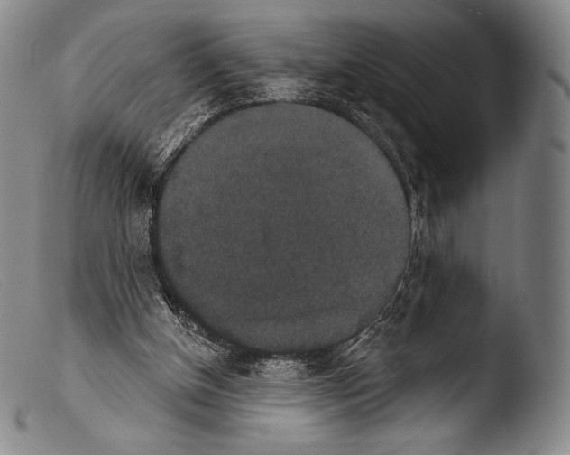 X0000103950154200810311558