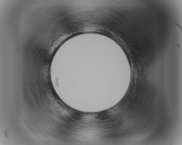 X0000103950155200810311558