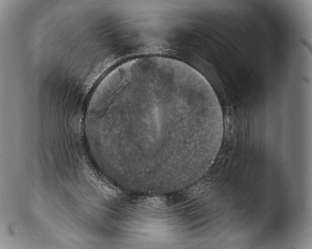 X0000103950156200810311558