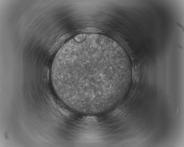 X0000103950157200810311558