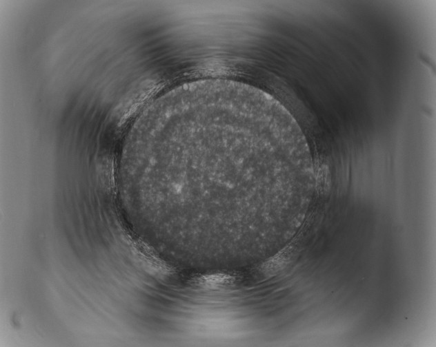 X0000103950158200810311558