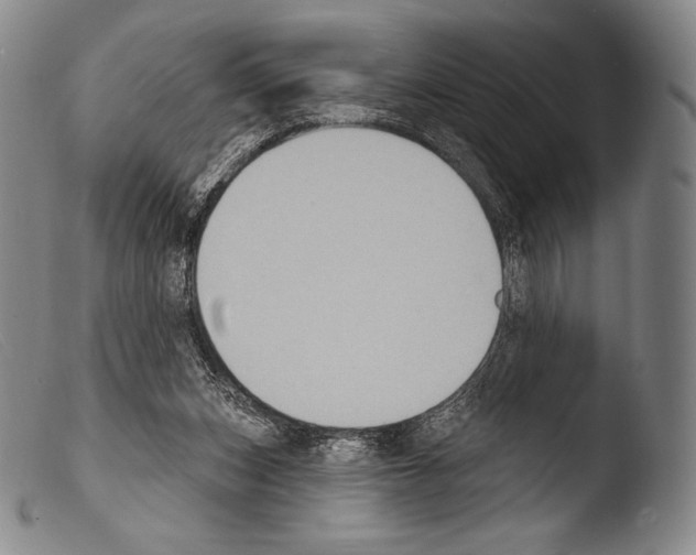 X0000103950159200810311558