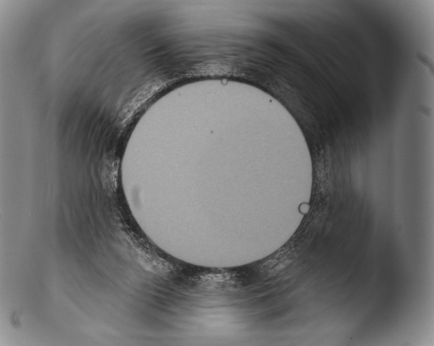 X0000103950160200810311558