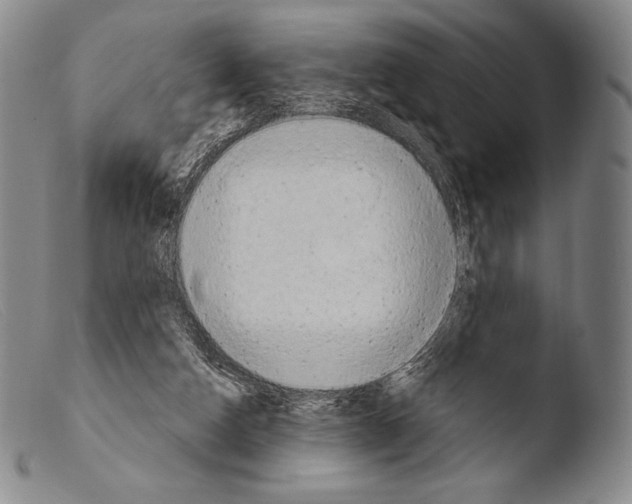 X0000103950162200810311558