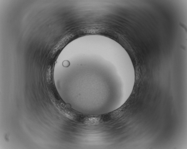 X0000103950163200810311558