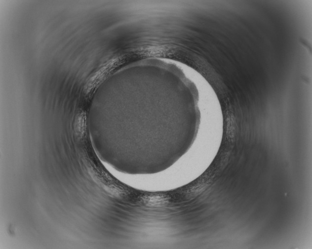 X0000103950165200810311558