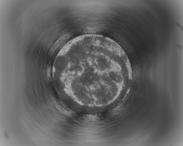 X0000103950166200810311558