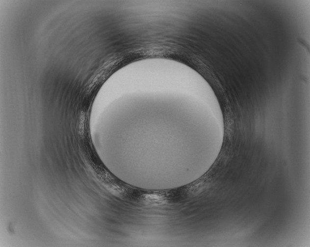 X0000103950167200810311558