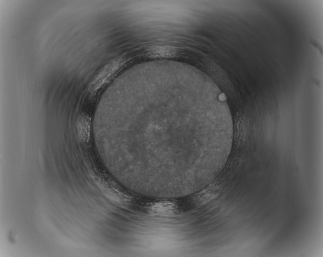 X0000103950168200810311558