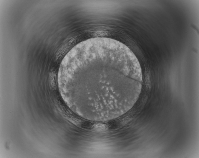 X0000103950169200810311558