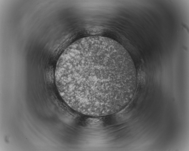 X0000103950170200810311558
