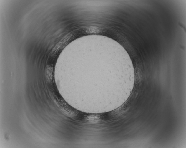 X0000103950171200810311558