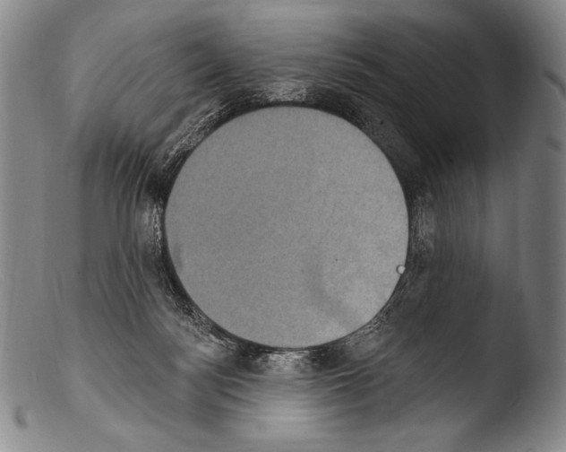 X0000103950172200810311558