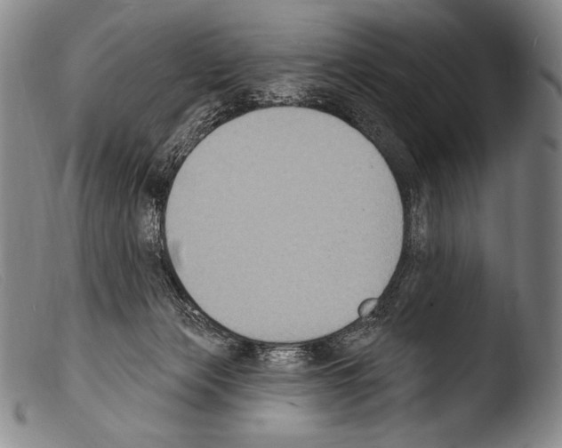 X0000103950173200810311558