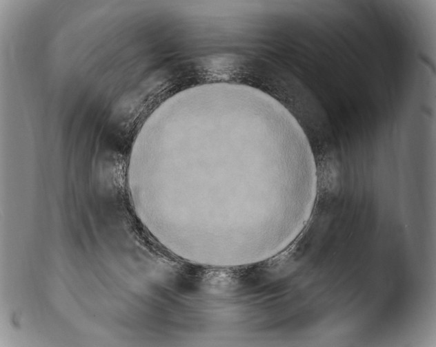 X0000103950174200810311558