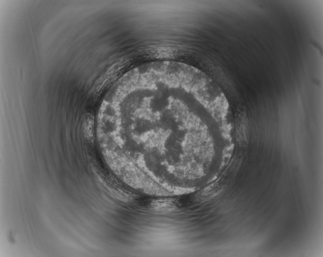 X0000103950175200810311558