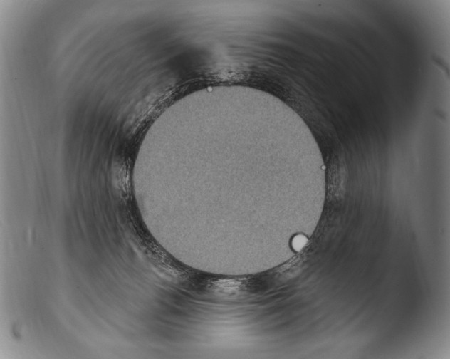 X0000103950176200810311558