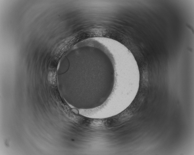 X0000103950177200810311558