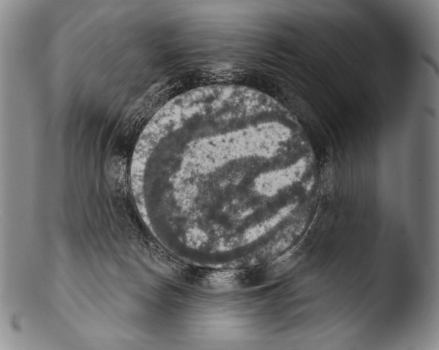 X0000103950178200810311558