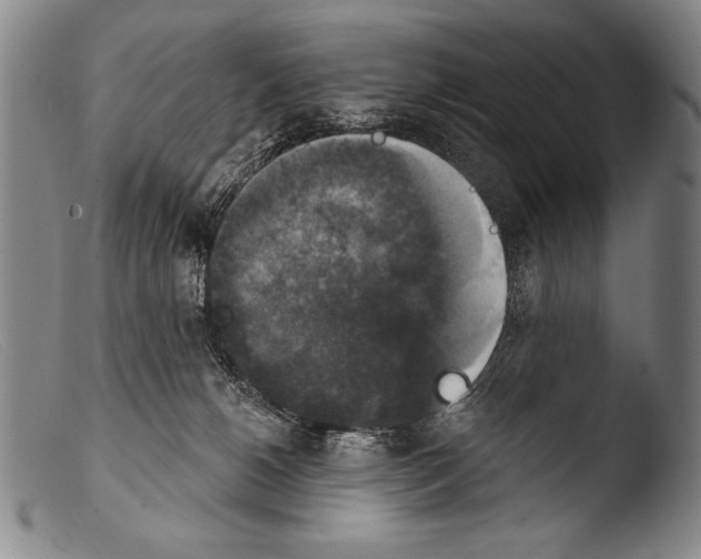 X0000103950180200810311558