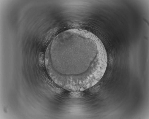 X0000103950181200810311558