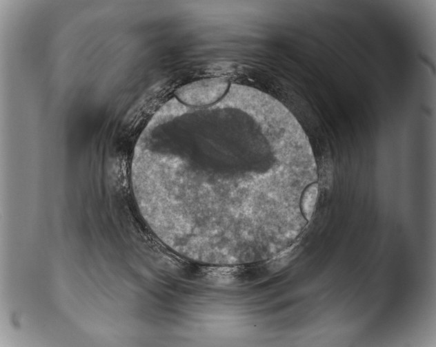 X0000103950182200810311558