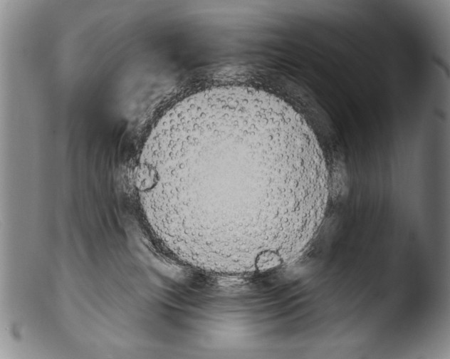 X0000103950183200810311558