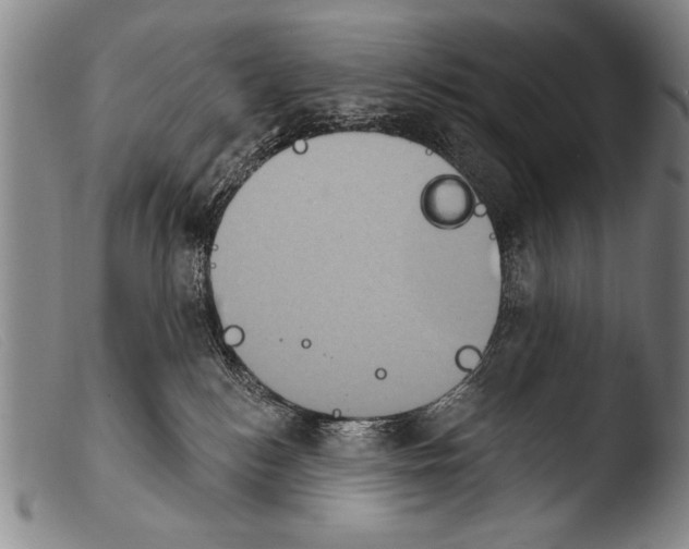 X0000103950184200810311558